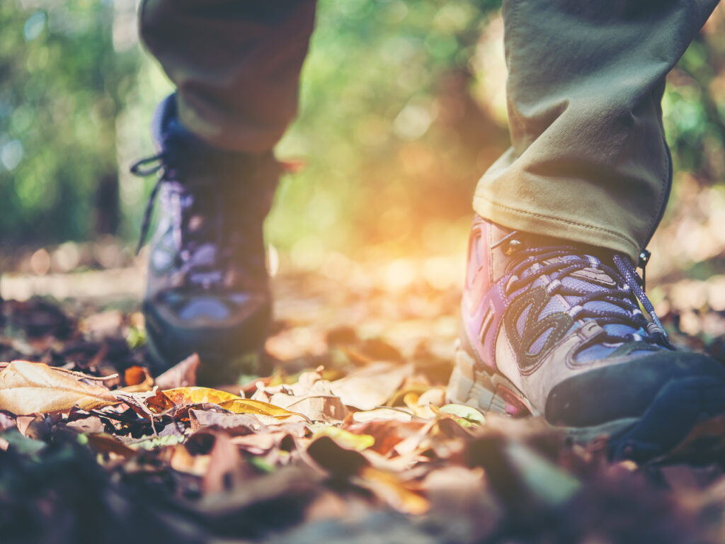 Imagebilde auf der Seite mit Angeboten: Wanderschuhe im Herbstlaub